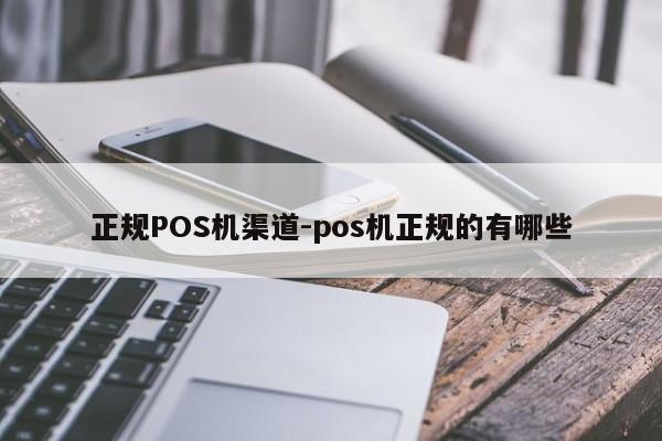 新晃正规POS机渠道-pos机正规的有哪些